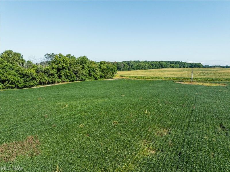 Sycamore Road, Centerburg, OH 43011 Photo 10