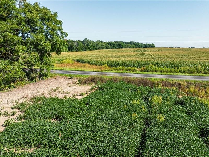 Sycamore Road, Centerburg, OH 43011 Photo 12