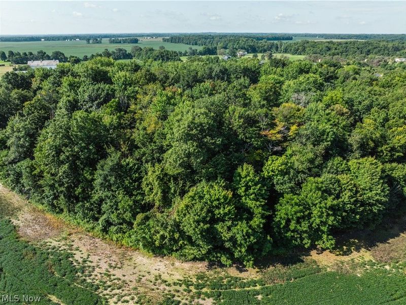 Sycamore Road, Centerburg, OH 43011 Photo 24