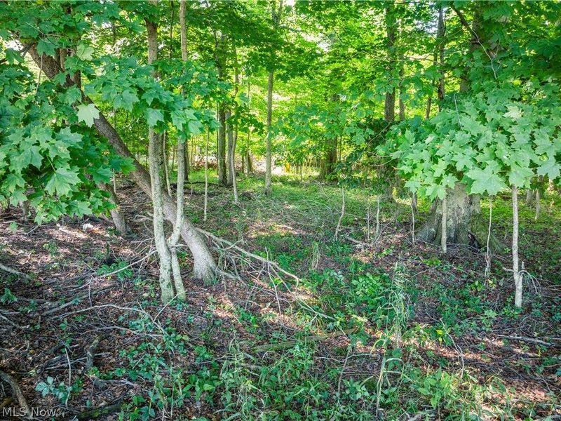 Sycamore Road, Centerburg, OH 43011 Photo 26
