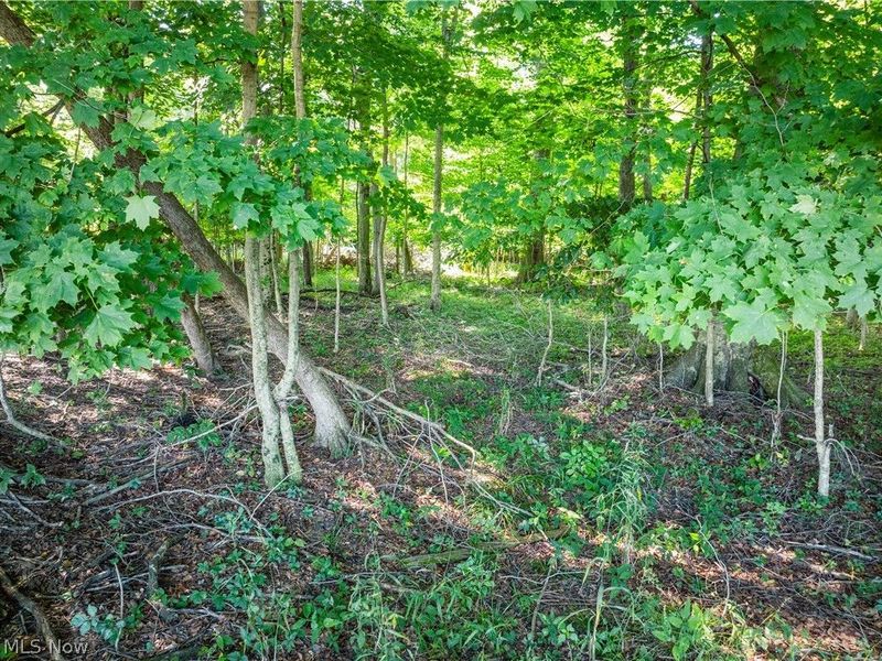 Sycamore Road, Centerburg, OH 43011 Photo 28