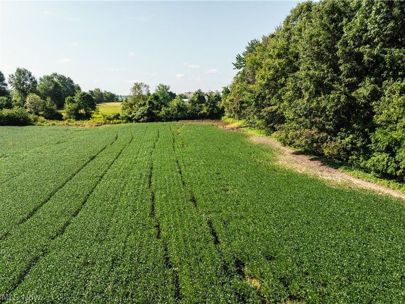 Sycamore Road, Centerburg, OH 43011 Photo 32