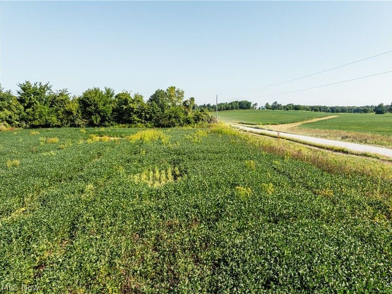 Sycamore Road, Centerburg, OH 43011 Photo 41
