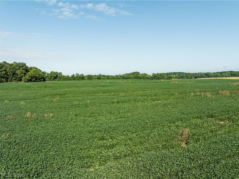 Perry Road, Centerburg, OH 43011 Photo 2
