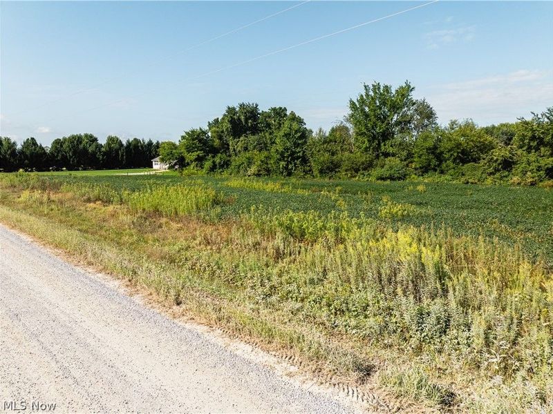 Perry Road, Centerburg, OH 43011 Photo 3