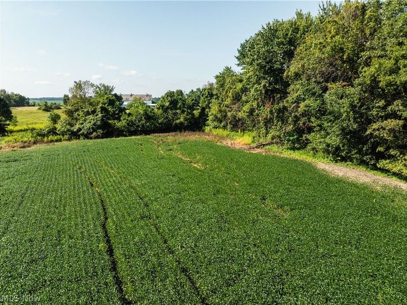 Perry Road, Centerburg, OH 43011 Photo 7