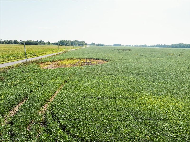 Sycamore Road, Centerburg, OH 43011 Photo 1
