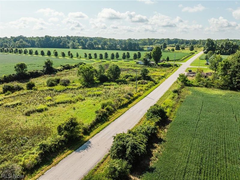 Webster Road, Centerburg, OH 43011 Photo 11