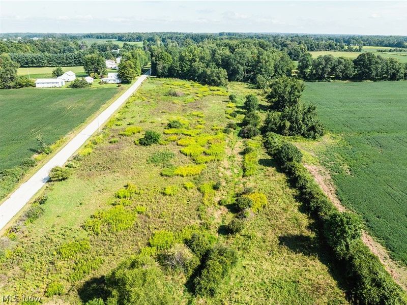 Webster Road, Centerburg, OH 43011 Photo 6