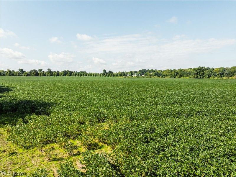 Webster Road, Centerburg, OH 43011 Photo 1