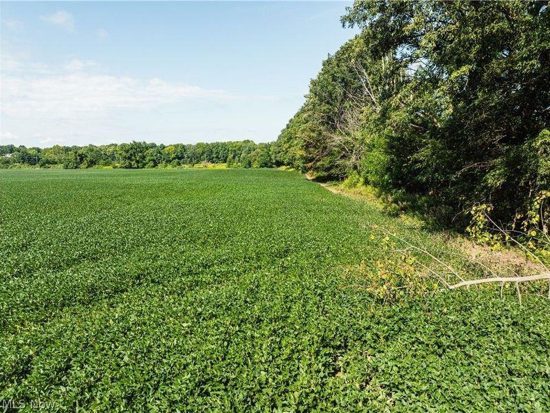 Webster Road, Centerburg, OH 43011 Photo 10