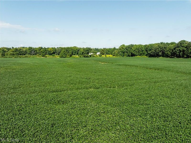 Webster Road, Centerburg, OH 43011 Photo 11