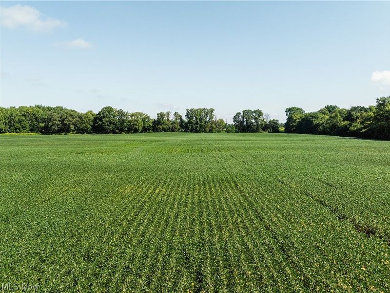 Webster Road, Centerburg, OH 43011 Photo 12