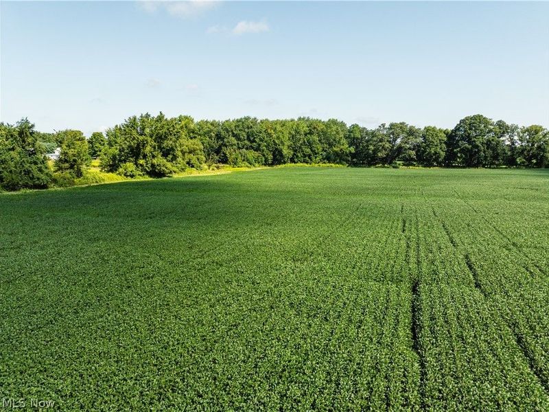 Webster Road, Centerburg, OH 43011 Photo 14