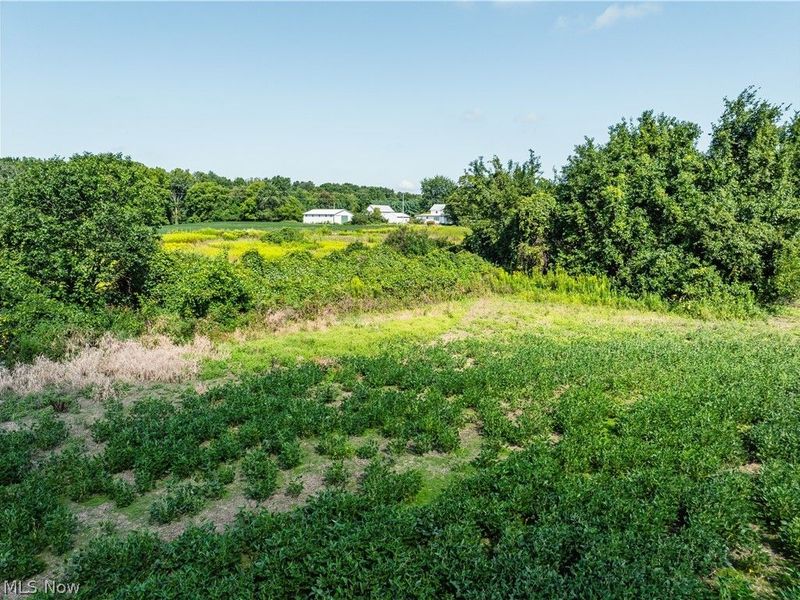 Webster Road, Centerburg, OH 43011 Photo 15