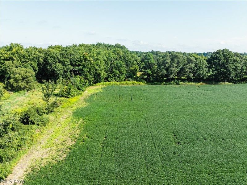 Webster Road, Centerburg, OH 43011 Photo 3