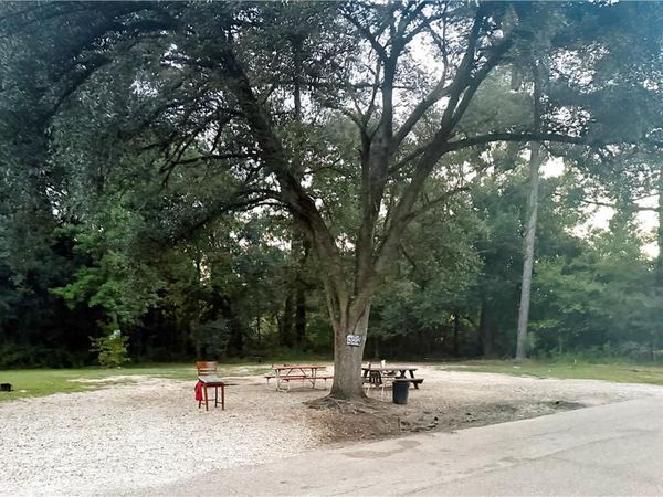 21305 SUCCESS Street , Covington, LA 70435