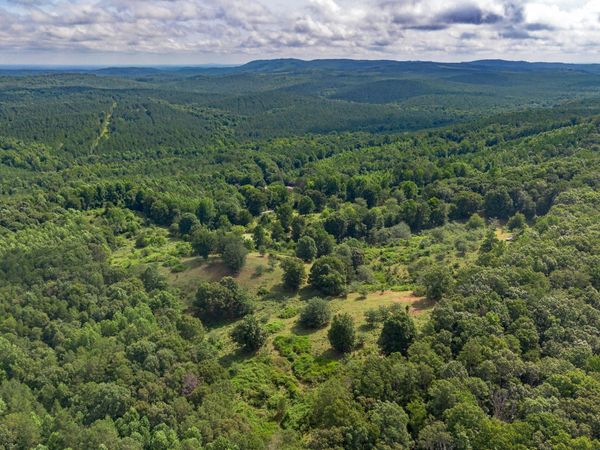 5967 County Road 19, Unit LOT 1, Heflin, AL 36264