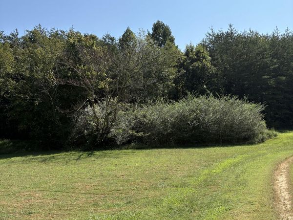 0 John Kirkland Road, Unit 2, Tellico Plains, TN 37385