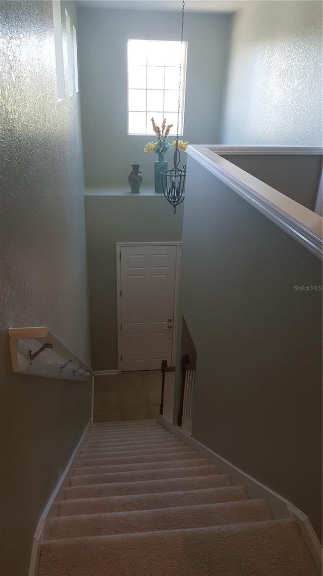 13314 Roxboro Road, Windermere, FL 34786 Photo