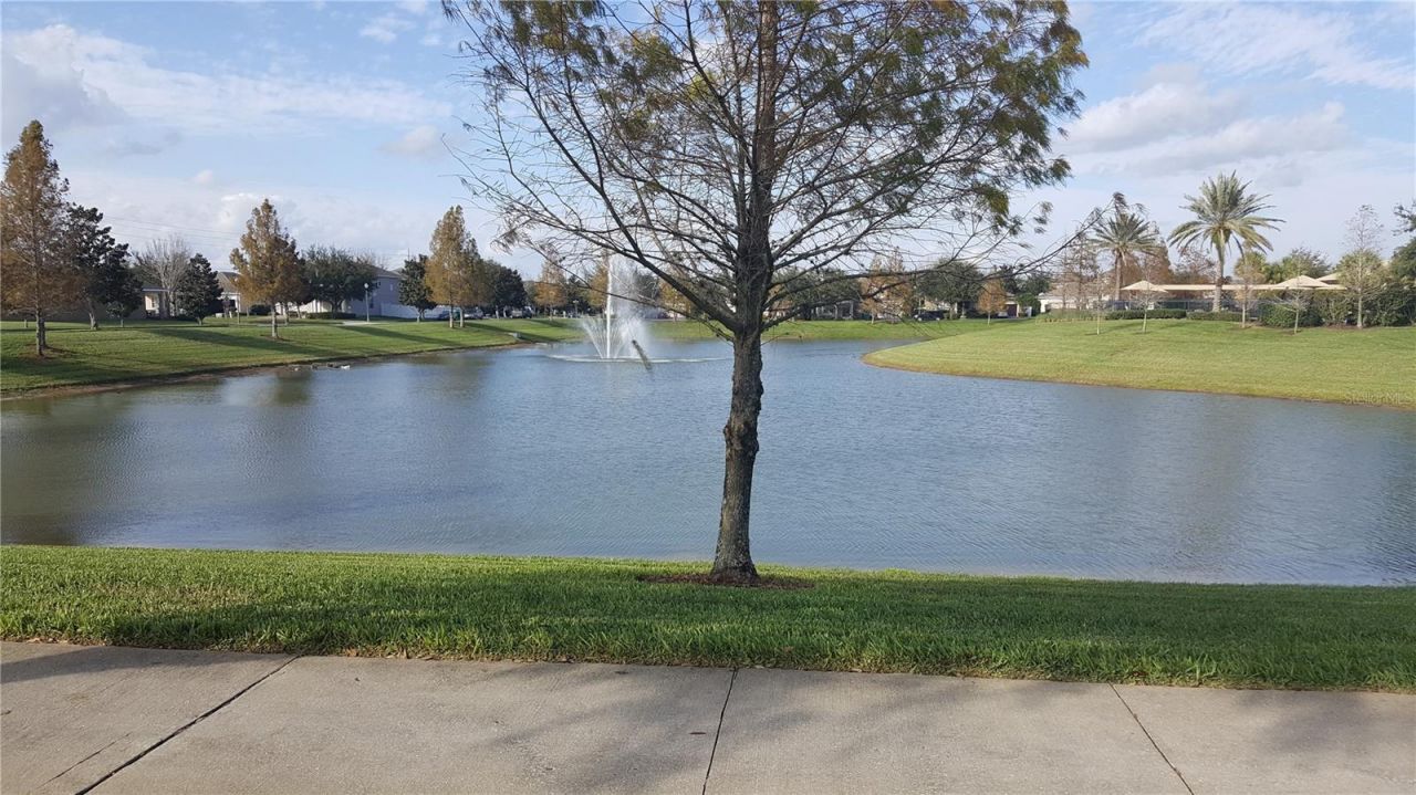 13314 Roxboro Road, Windermere, FL 34786 Photo