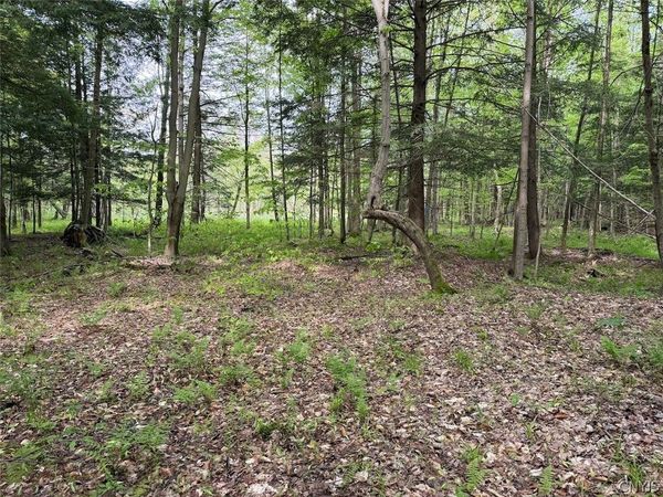 Kellogg Hill Road , South Dayton, NY 14138