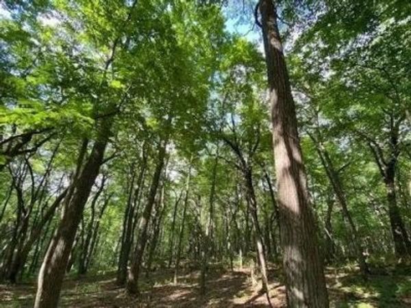 12 Wooded Acres Observatory Road, Cross Plains, WI 53528