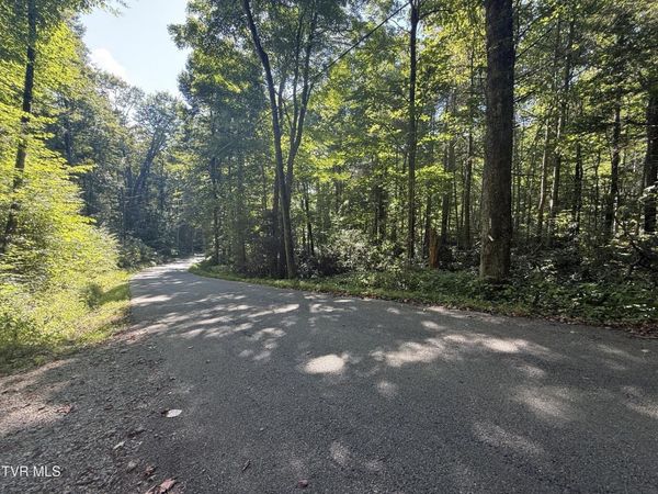 TBD Viking Mountain Road, Greeneville, TN 37743