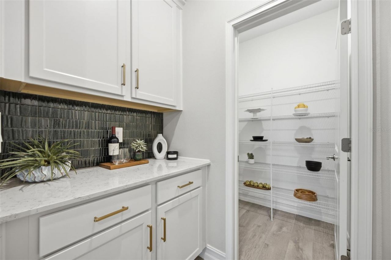 18330 Serene Lake Loop , Lutz, FL 33548 Photo