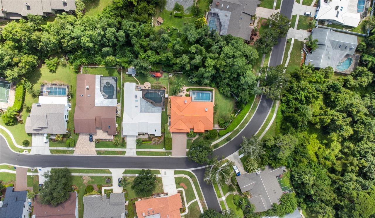 3568 Landmark Trail , Palm Harbor, FL 34684 Photo