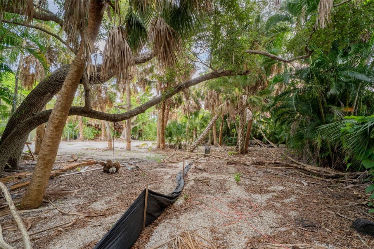 5323 Calle Florida, Sarasota, FL 34242 Photo