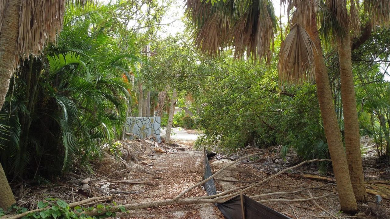 5323 Calle Florida, Sarasota, FL 34242 Photo