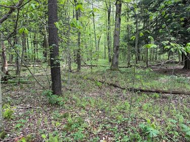 Kellogg Hill Road, South Dayton, NY 14138