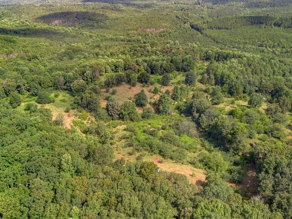 5967 County Road 19, Unit LOT 2, Heflin, AL 36264