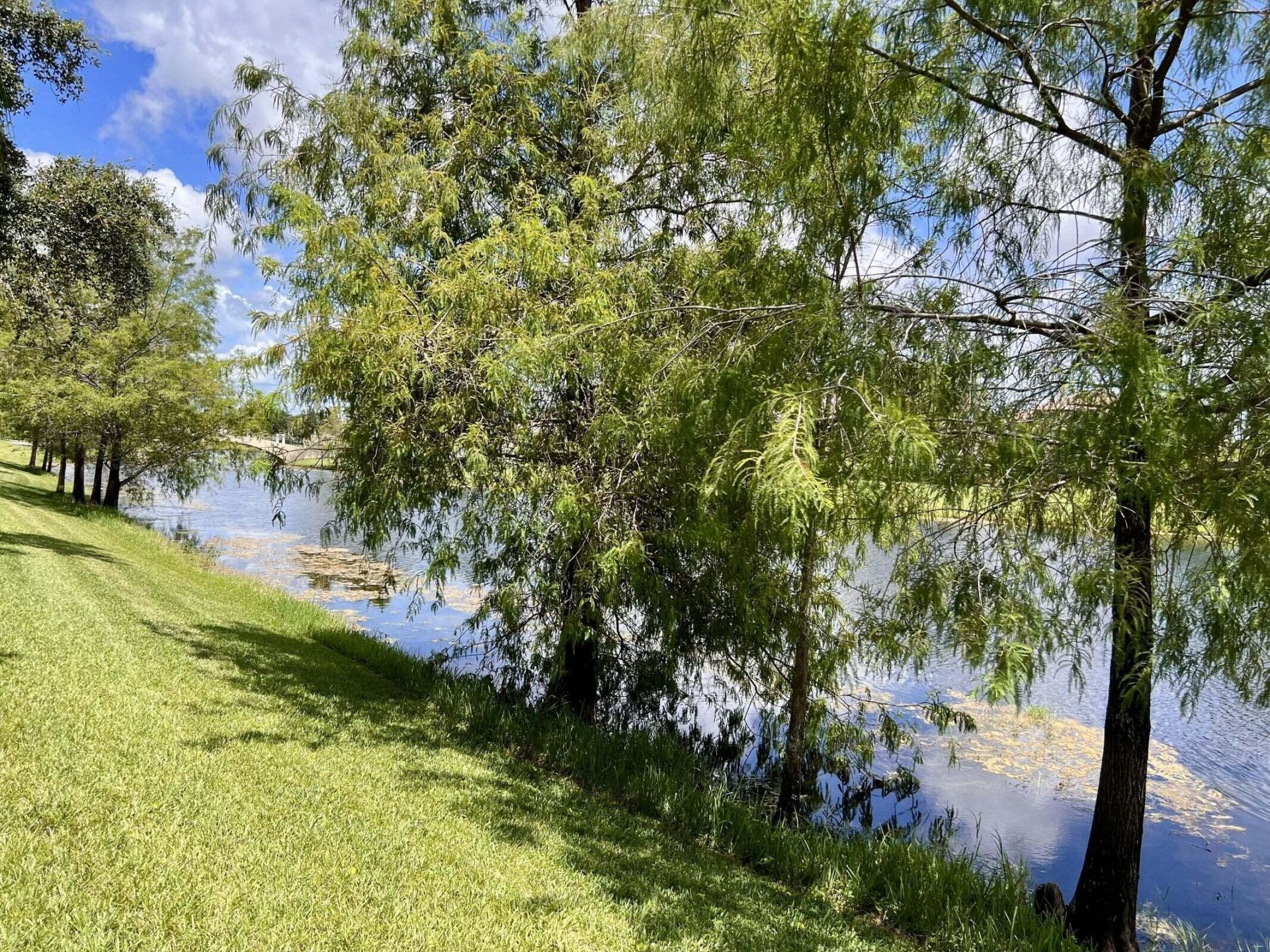 8095 Laborie Lane, Wellington, FL 33414 Photo