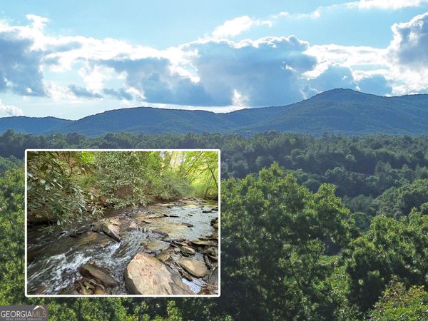 LOTS1920 Mt. Springer Road, Ellijay, GA 30540