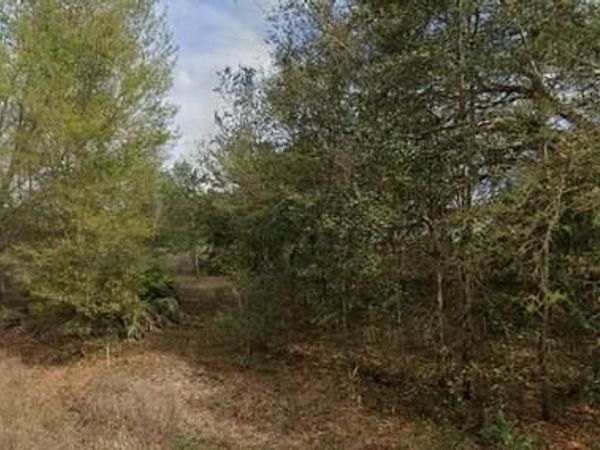 Tba Lenore Avenue, Interlachen, FL 32148
