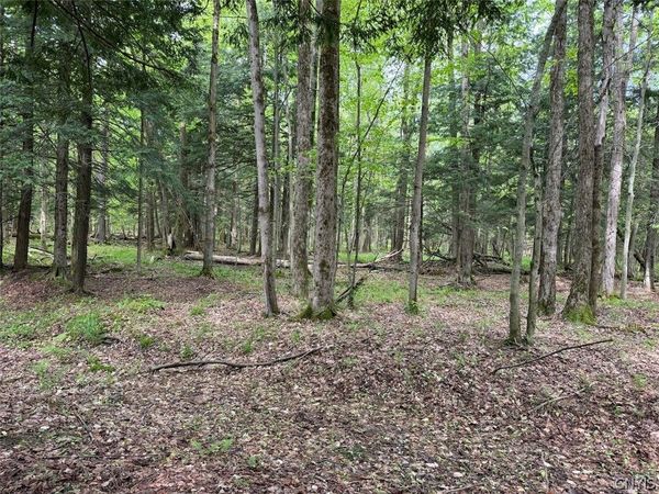 Kellogg Hill Road , South Dayton, NY 14138