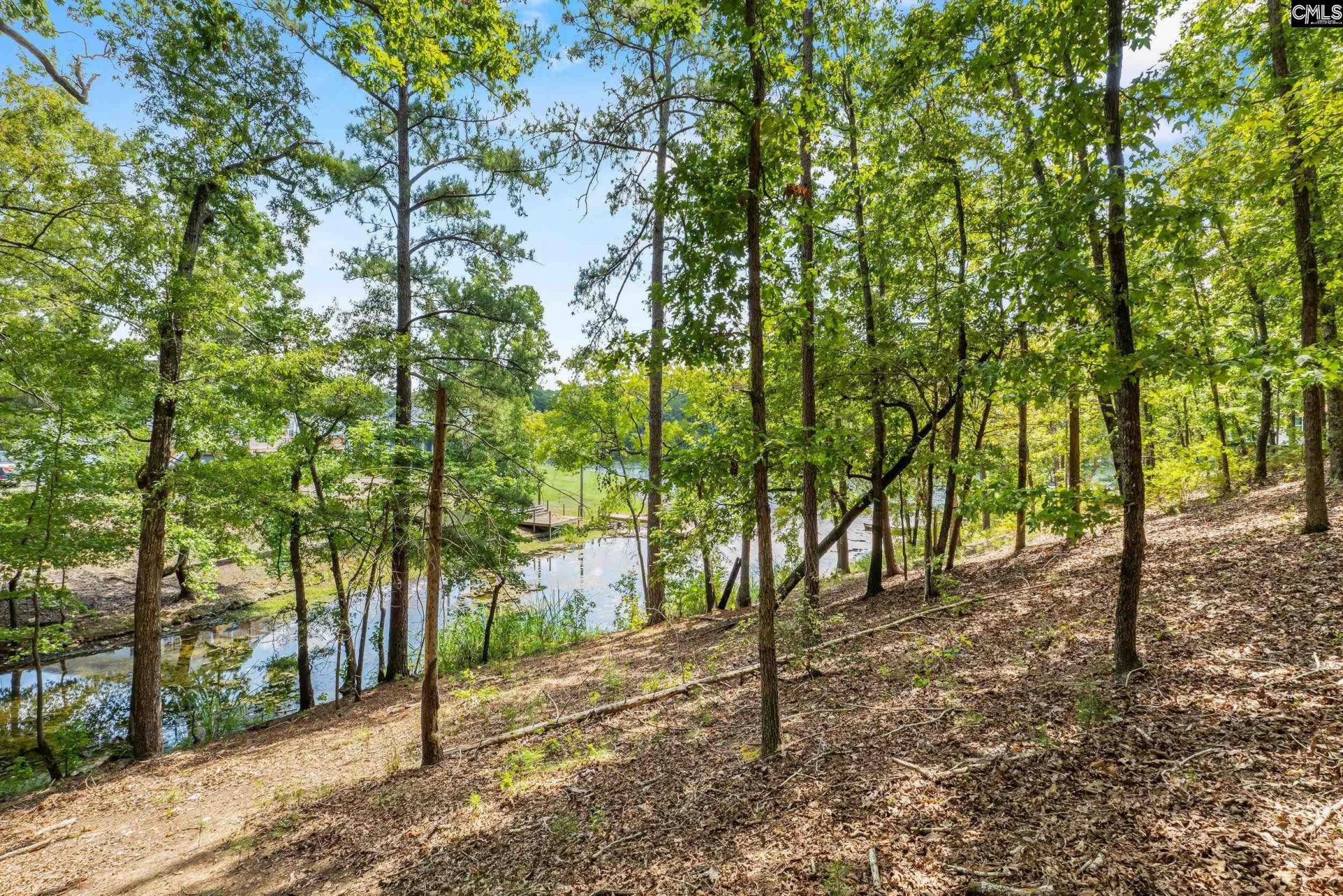 1249 Screech Owl Road  Photo 11