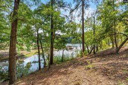 1249 Screech Owl Road  photo 4