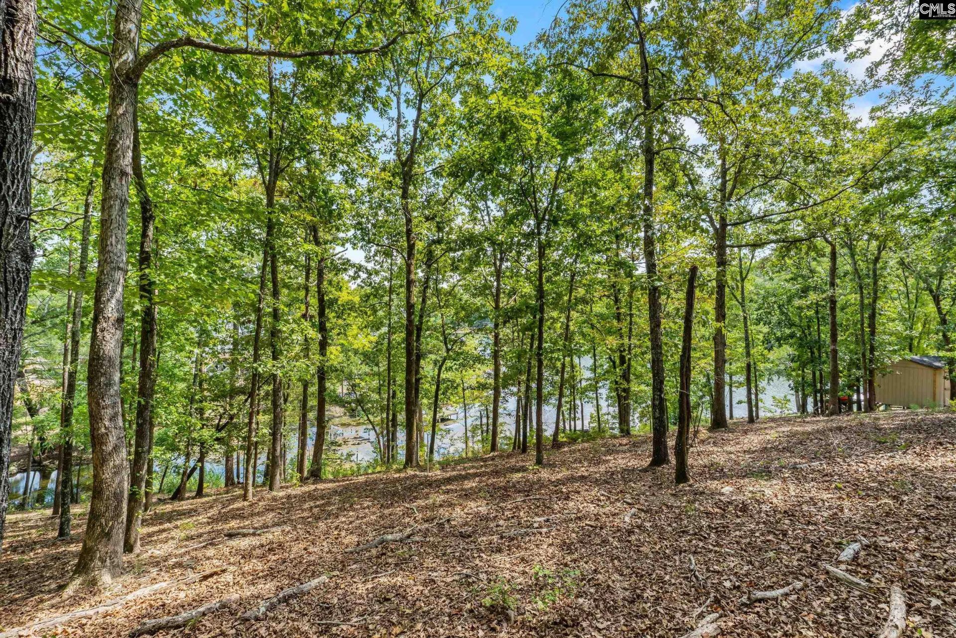 1249 Screech Owl Road  Photo 6