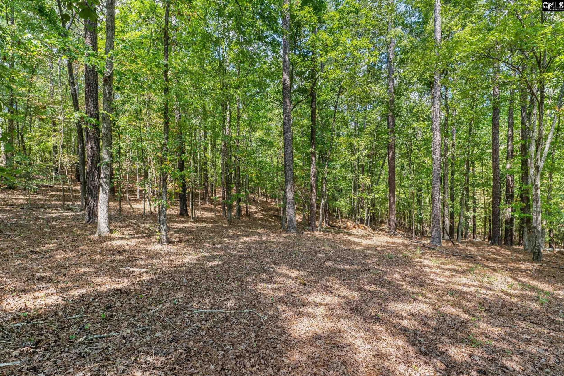 1249 Screech Owl Road  Photo 7