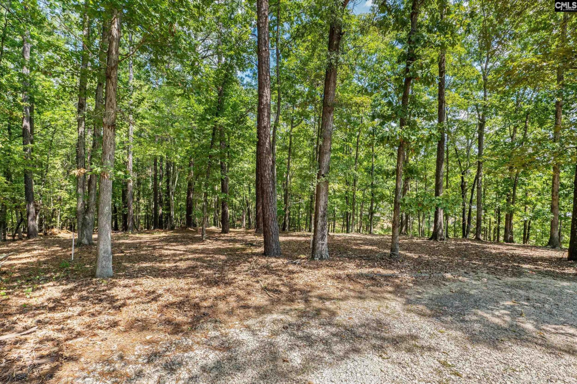 1249 Screech Owl Road  Photo 8