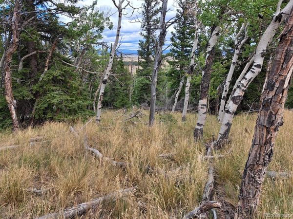 1844 High Creek Road , Fairplay, CO 80440