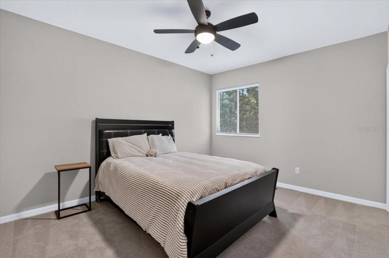 9830 W Park Village Drive, Tampa, FL 33626 Photo