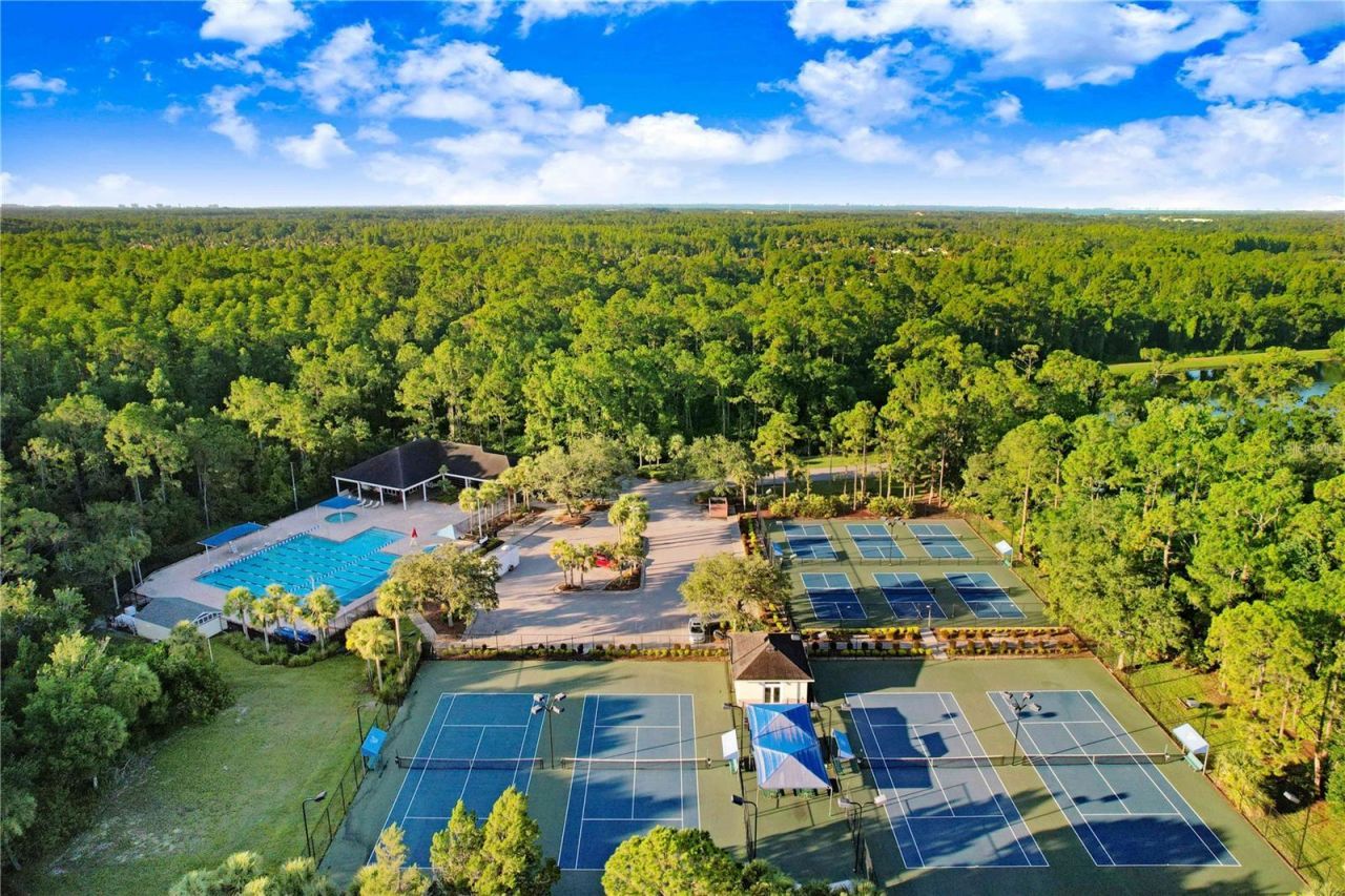 9830 W Park Village Drive, Tampa, FL 33626 Photo