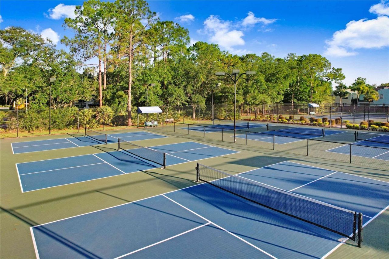 9830 W Park Village Drive, Tampa, FL 33626 Photo