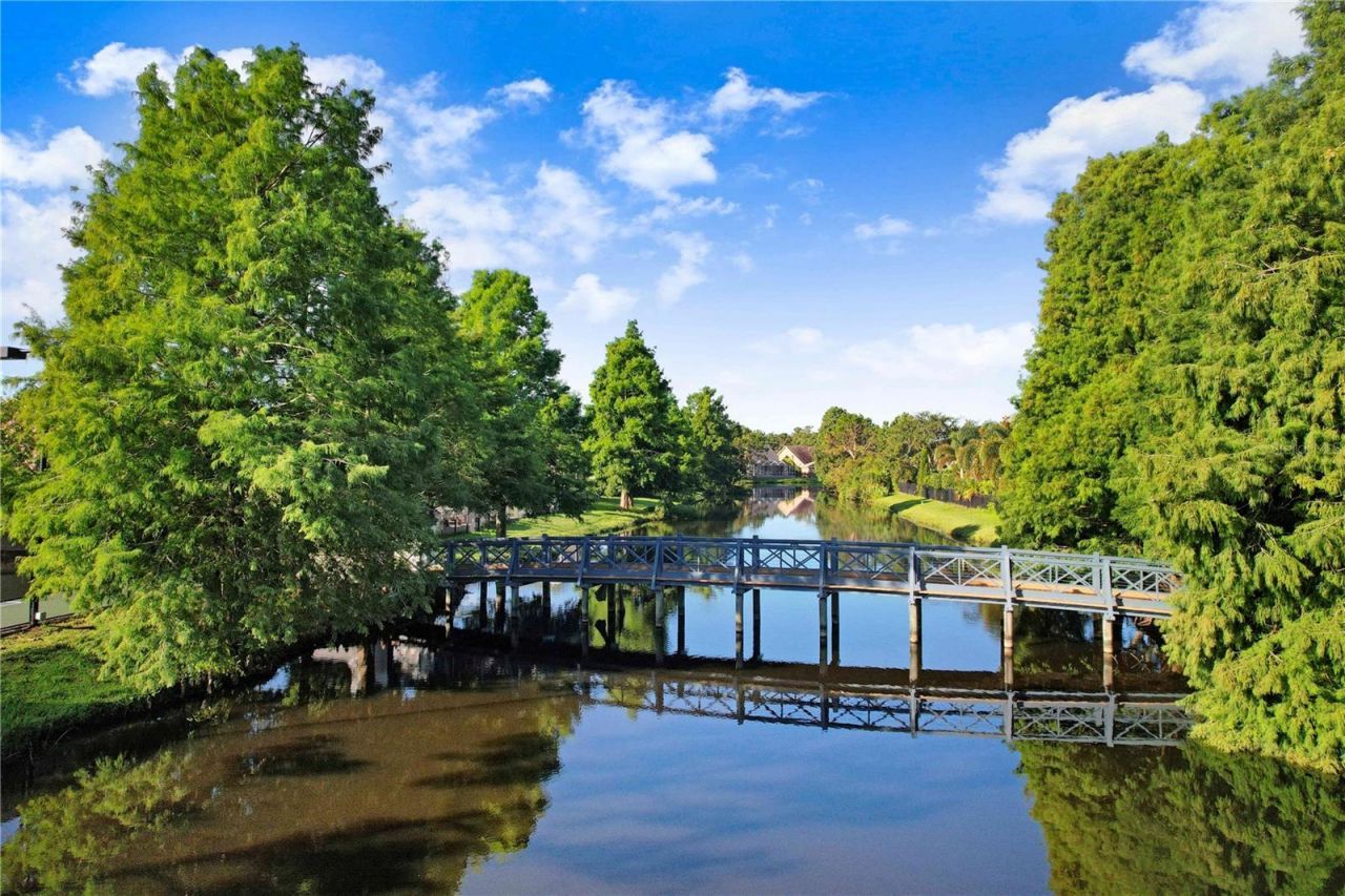 9830 W Park Village Drive, Tampa, FL 33626 Photo