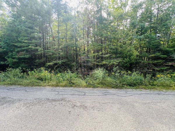 8710 Cordwood Trail, Cheboygan, MI 49721