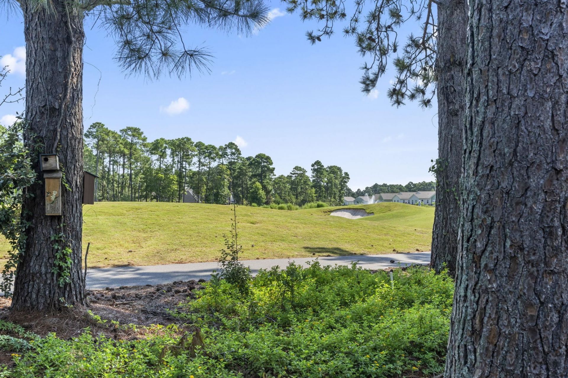 4545 Girvan Dr.  Photo 35